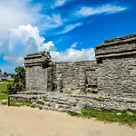 Tao Edena 30
